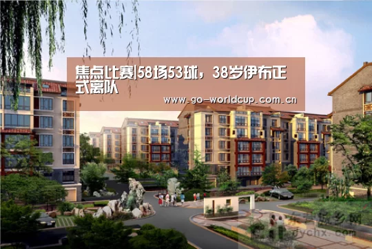 焦点比赛|58场53球,38岁伊布正式离队(图2) 中文资讯