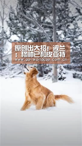 中文资讯