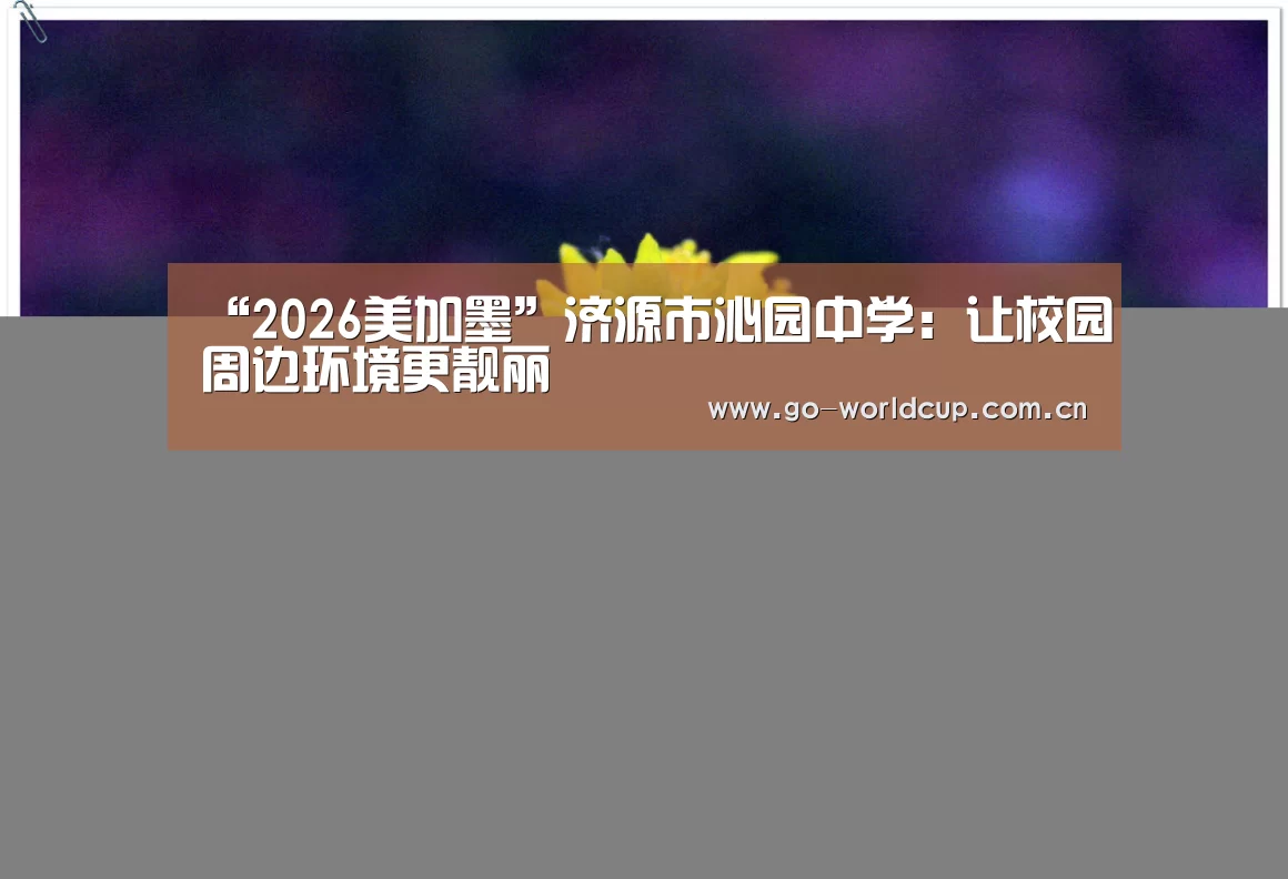 中文资讯