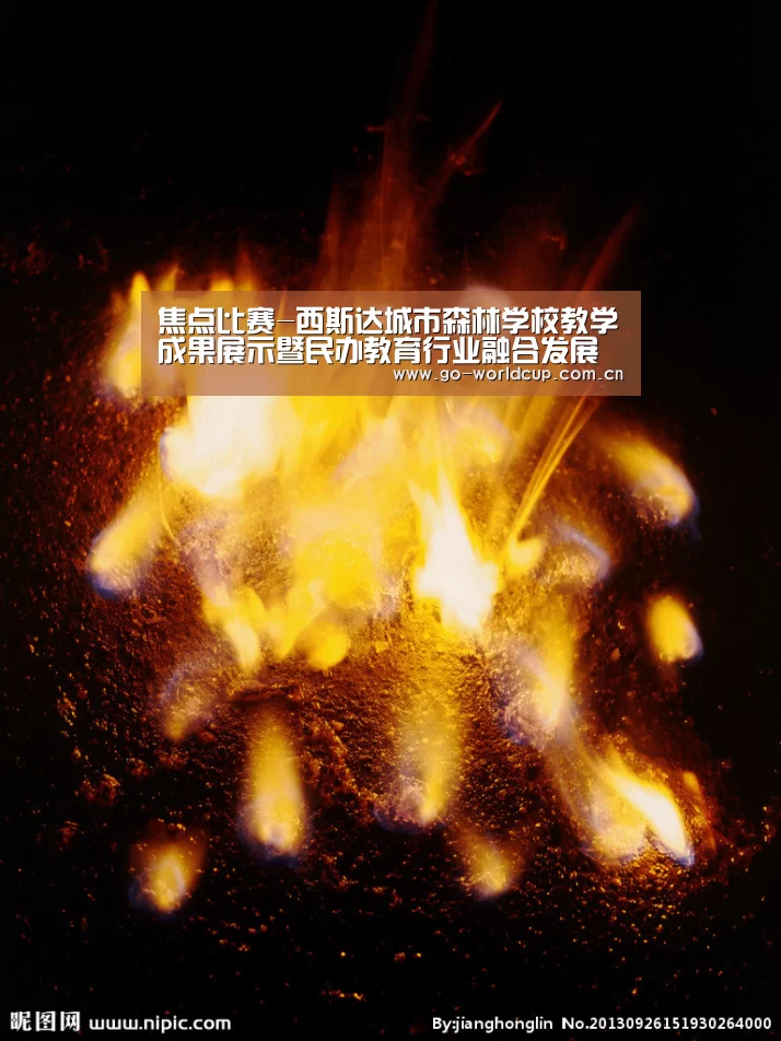 2026美加墨