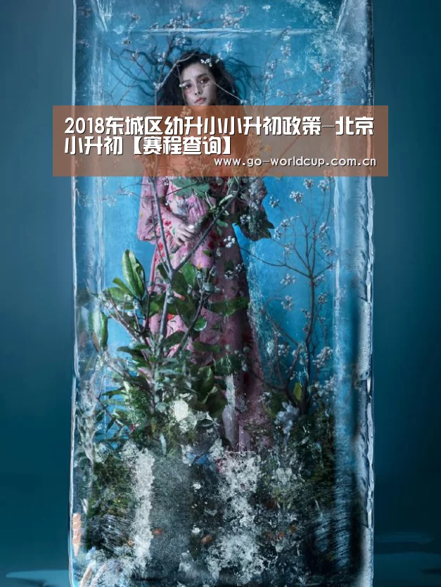 2018东城区幼升小小升初政策-北京小升初【赛程查询】(图2) 中文资讯