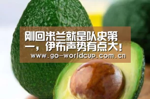 中文资讯