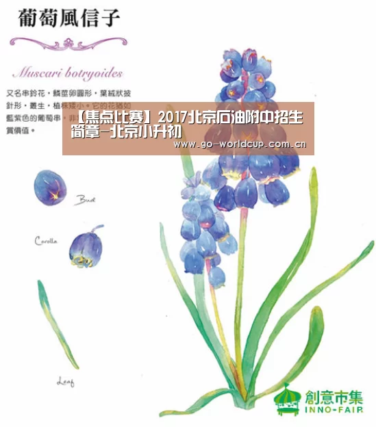 【焦点比赛】2017北京石油附中招生简章-北京小升初